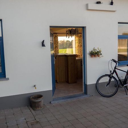 Vakantiewoning De Wilg - rustig gelegen Geraardsbergen Buitenkant foto