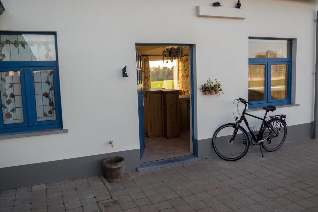 Vakantiewoning De Wilg - rustig gelegen Geraardsbergen Buitenkant foto